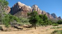 130_Zion National Park