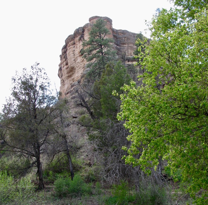 178_Gila Cliff Dwellings, NM