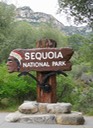 1_Sequoia National Park