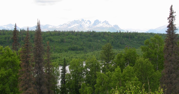 5 - 1_Denali National Park, AK