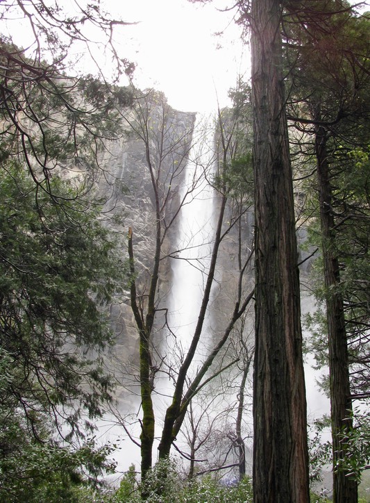 65b_Lower Yosemite Falls