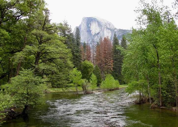 66_Half Dome