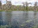 Wakulla Springs2