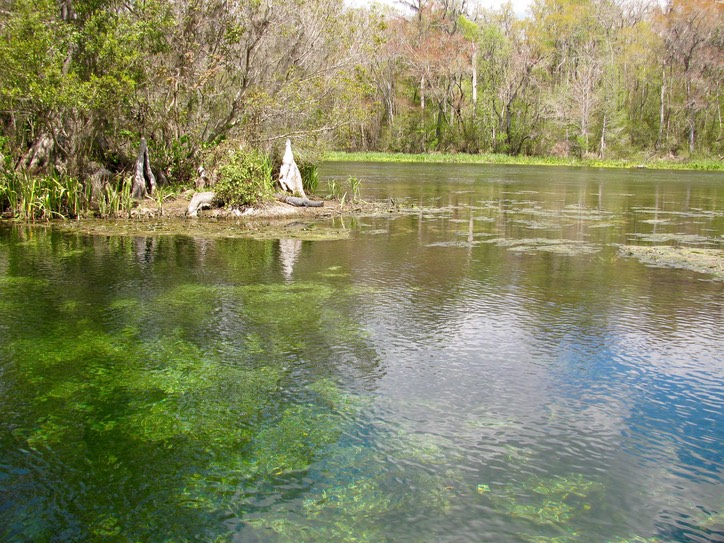 Wakulla Springs3